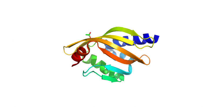 1TUH-Bal32a-Soil-Derived-Gene-Casette