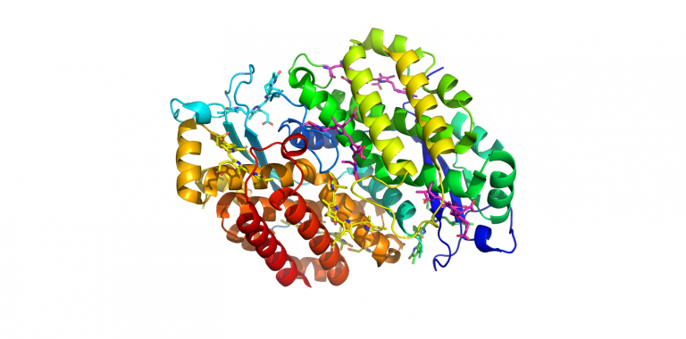 1XG0-PE545-Rhodomonas Sp.