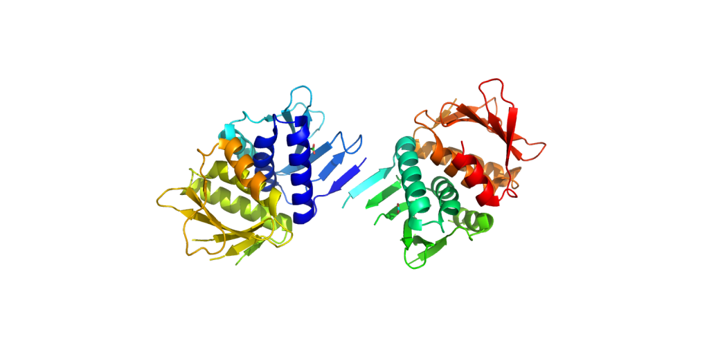 3IMO-Gene Casette protein Cass14 Vibrio Cholerae