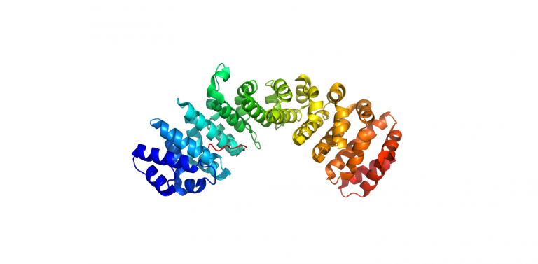 3OQS-Importan-alpha-bound-Clic4-NLS