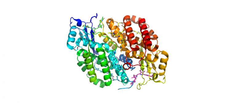 4LMS-PC645-Chroomonas Sp.